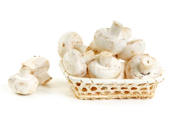 Mantar champignon ahşap sepeti — Stok fotoğraf