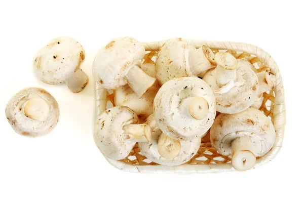 Funghi champignon in cestino di legno — Foto Stock