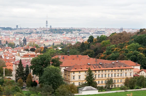 Visa Prag Från Toppen Röda Takåsarna — Stockfoto