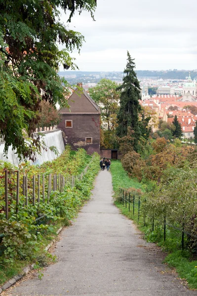 Θέα της Πράγας, από την κορυφή — Φωτογραφία Αρχείου