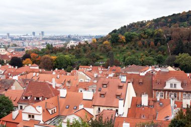 üstten leyleklerin Prag görünüm