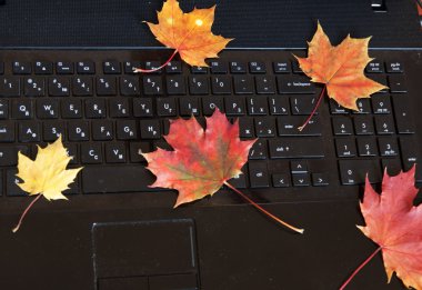sonbahar yalan siyah dizüstü klavye üzerinde bırakır.