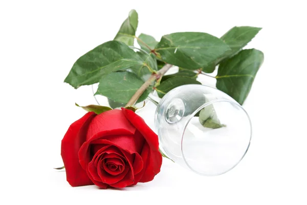 Czerwona róża i filiżance szkła — Zdjęcie stockowe