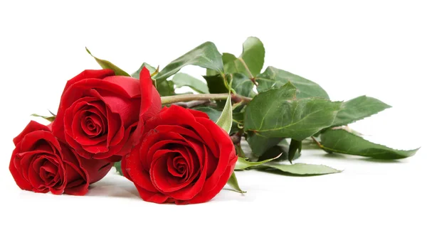 孤立在白色背景上的三个红玫瑰 — 图库照片