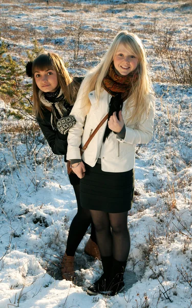Twee jonge mooie meisjes — Stockfoto