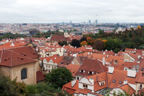 Üstten Leyleklerin Prag Görünüm — Stok fotoğraf