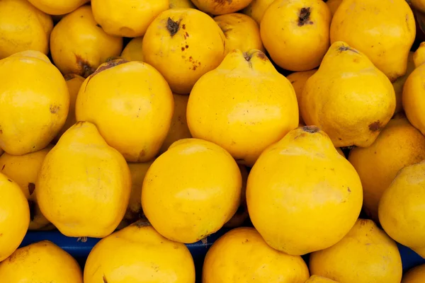 stock image Mellow yellow sweet quince