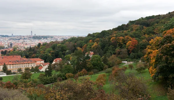 Vista Praga Desde Parte Superior Los Tejados Rojos —  Fotos de Stock