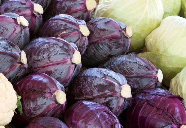 Blue and white cabbage — Stock Photo, Image