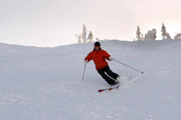 남자 스키 — 스톡 사진