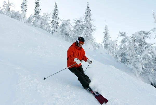Man skiën — Stockfoto