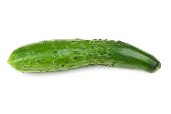 Один свіжий зелений огірок — стокове фото