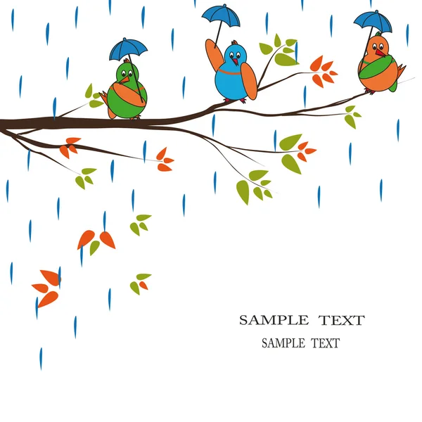 Aves de dibujos animados bajo la lluvia — Archivo Imágenes Vectoriales