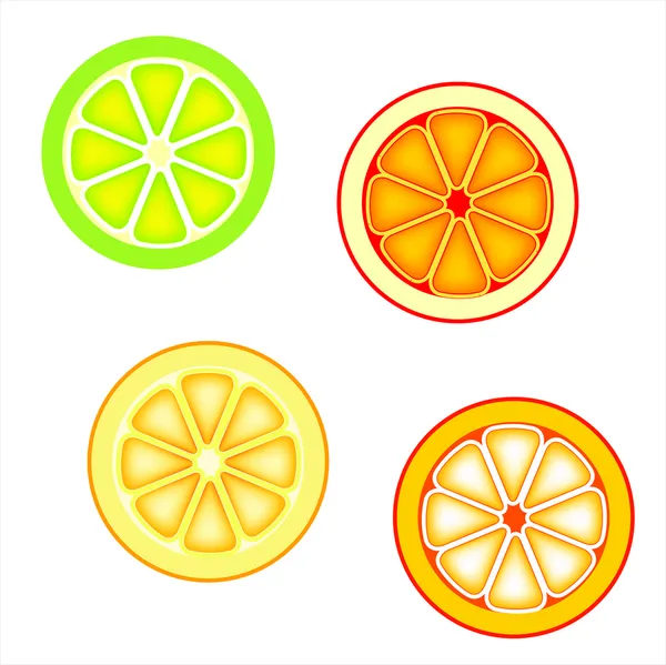 Fette di agrumi: Arancio, pompelmo rosso, limone e lime — Vettoriale Stock