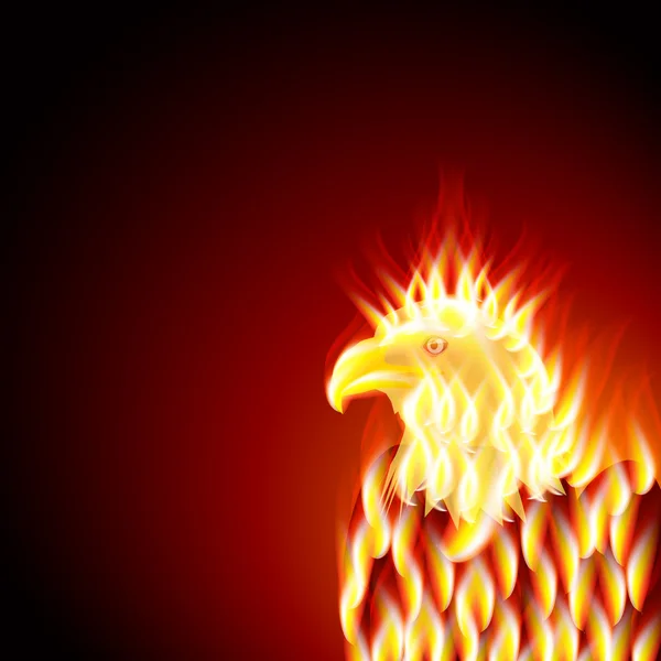 Un semental ardiente. Águila — Vector de stock