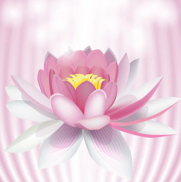 stock vector Pink water lily. Vector illustration