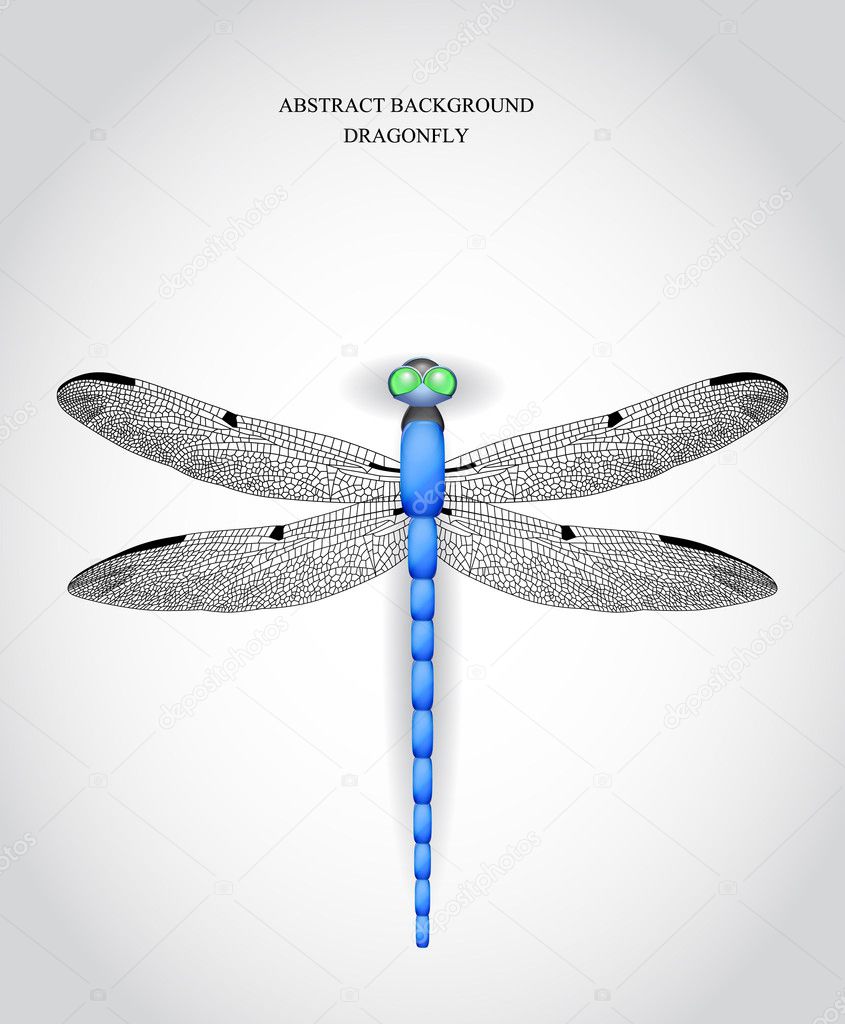 Dragonfly. Vector illustration