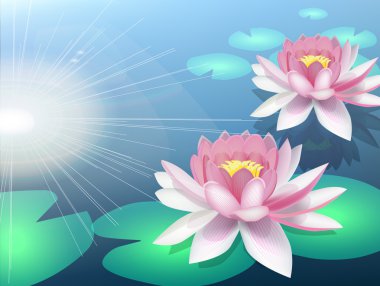 Water lily background clipart