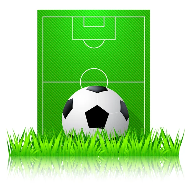 Football sur un terrain de football — Image vectorielle