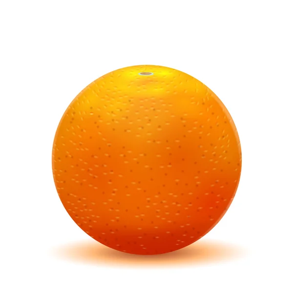 Pomarańczowy izolowany na białym tle — Wektor stockowy