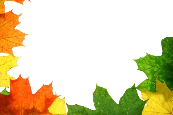 Podzimní textury — Stock fotografie