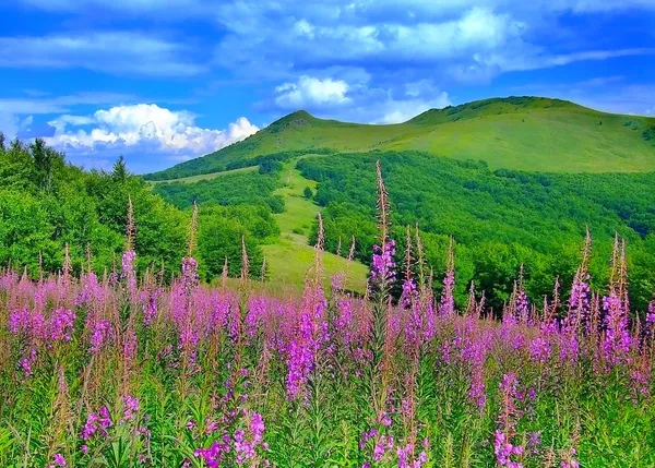 Primavera nas montanhas — Fotografia de Stock
