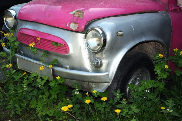 Oud roze auto in gras — Stockfoto