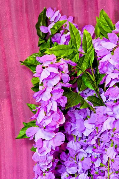 Purpurové květy — Stock fotografie