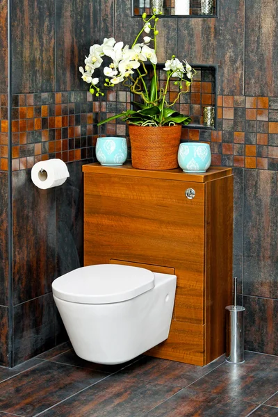Toaletowy siedzenie — Zdjęcie stockowe