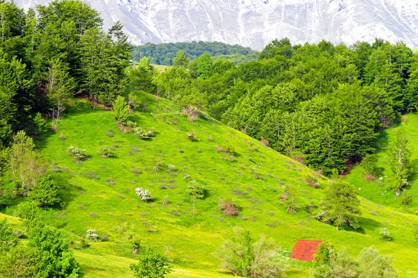 Bósnia colinas — Fotografia de Stock