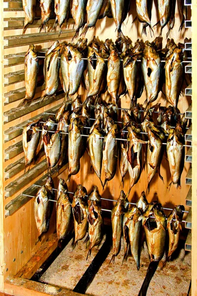 Smoked herrings — Stock Photo, Image