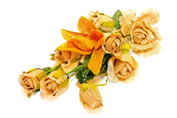 Kwiat rattanu — Zdjęcie stockowe