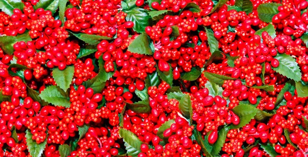 Boże Narodzenie berry tekstura — Zdjęcie stockowe