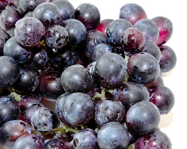 Druiven detail — Stockfoto