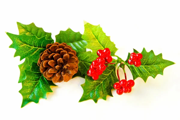 Mistletoe decor — Stock Photo, Image