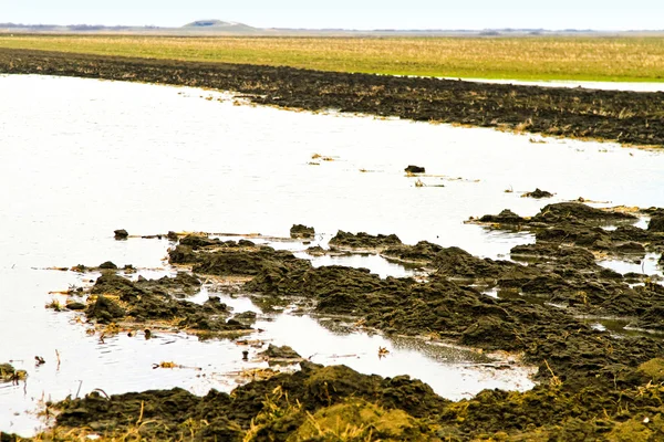 Затопленное поле — стоковое фото