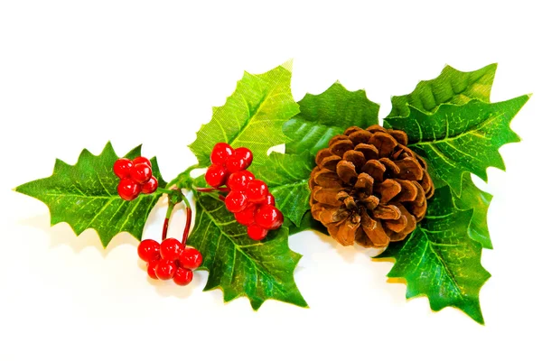 Mistletoe decoration — Stock Photo, Image