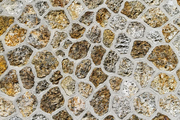 Τοίχος κυττάρων — Φωτογραφία Αρχείου