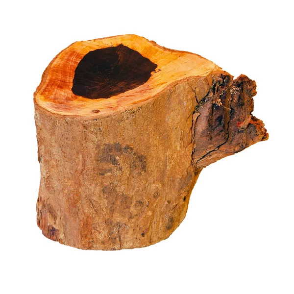 Stump isolated — Stock Photo, Image