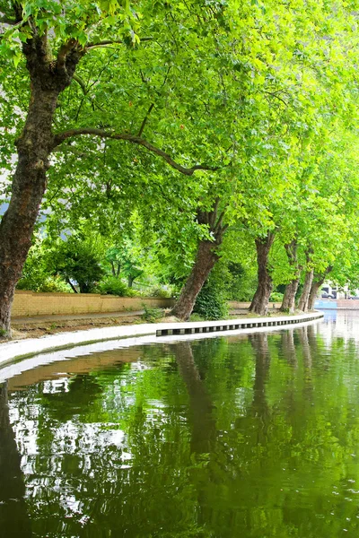 Nahaufnahme Des Kanalufers Mit Bäumen — Stockfoto