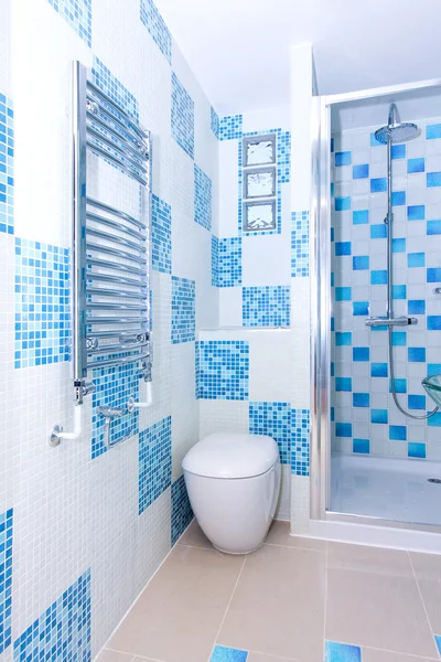Interior Banheiro Azul Com Aquecedor Cromado — Fotografia de Stock