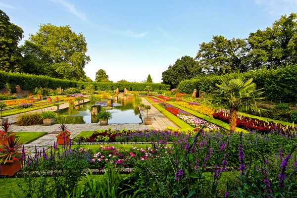Piękny Ogród Botaniczny Kwiatów Staw — Zdjęcie stockowe