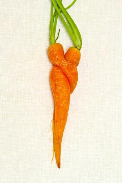 Pair Carrots Love Pose Concept — Stock Photo, Image