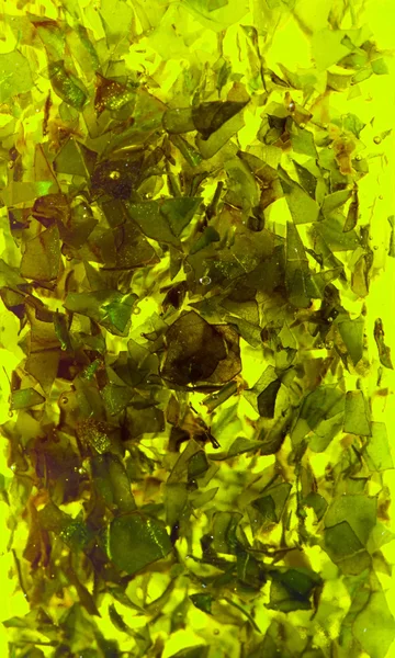 Huile Olive Infusée Herbes Aromatiques Basilic — Photo