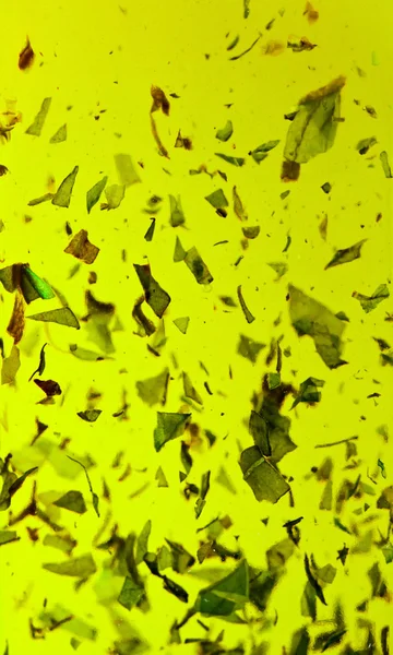 녹색 올리브 오일 — 스톡 사진