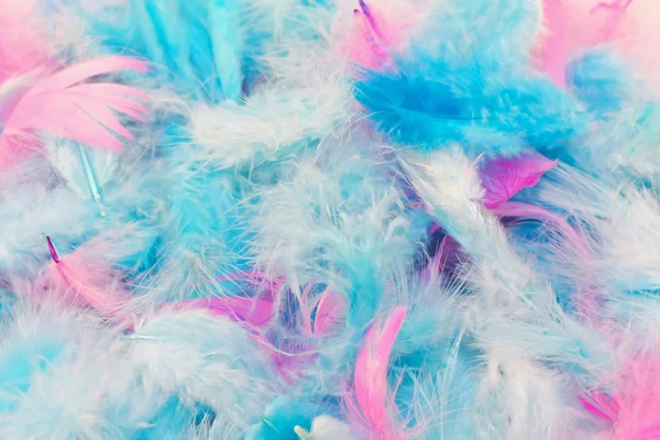 粉红色和浅蓝色的羽毛时尚配饰 — 图库照片