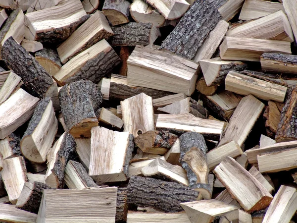 大堆的木柴 — 图库照片