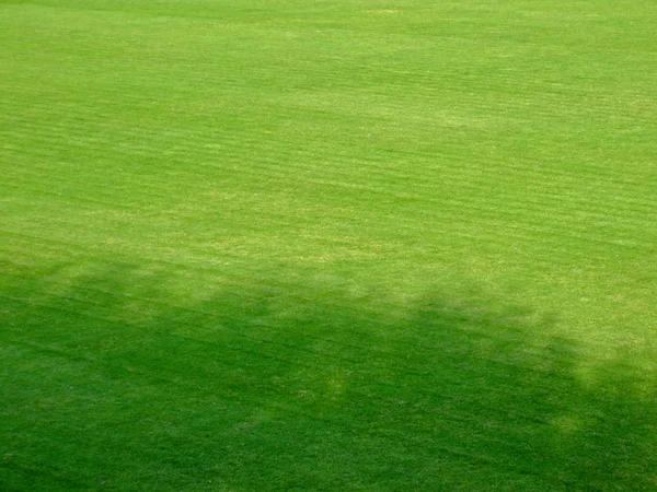影でサッカー地形上の緑の芝生 — ストック写真