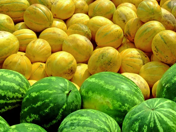 Großer Haufen Melonen Und Wassermelonen — Stockfoto