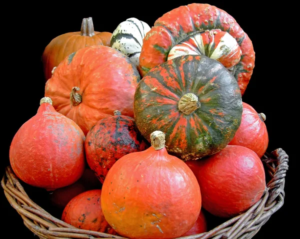 Pumpkins in a basket — Stock Photo, Image